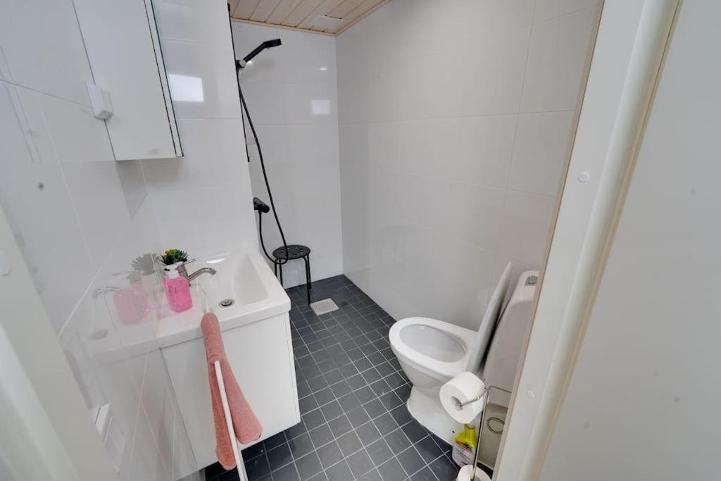 Best Location In Tampere! Modern City Apartment, 2Rooms, Kitchen And Balcony エクステリア 写真